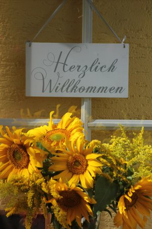 Abbildung